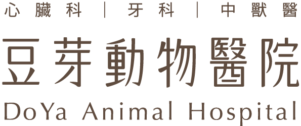豆芽動物醫院 DoYa Animal Hospital